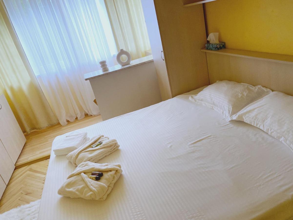 Timisoara Central Apartament Appartement Buitenkant foto